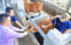 48657pmk di kota tangerang masih terkendali pemkot masifkan vaksinasi 486572 e1735986321710